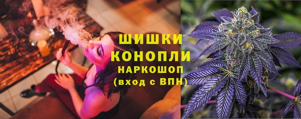 apvp Магас