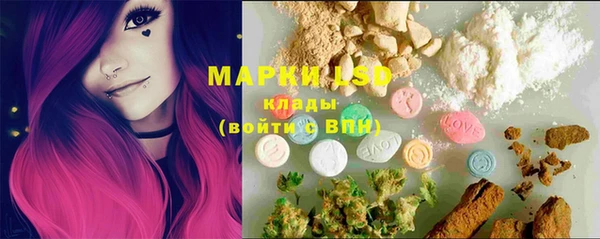 apvp Магас